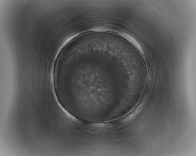 X0000112830855200908281530