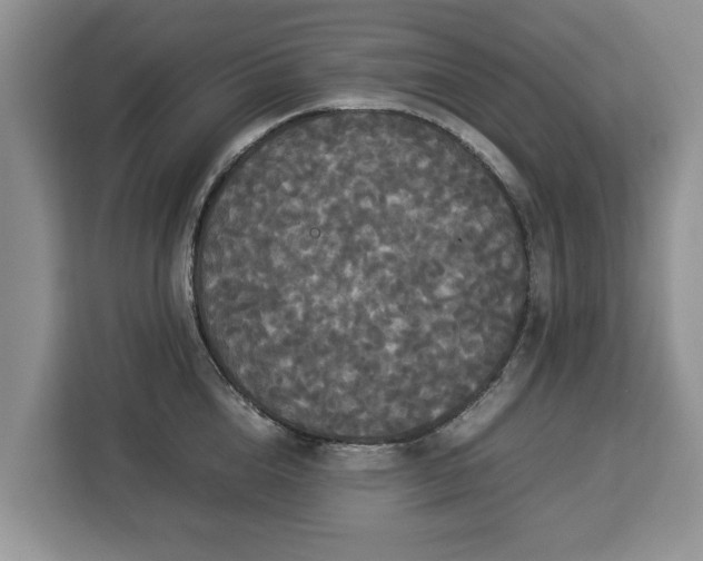 X0000112830856200908281530