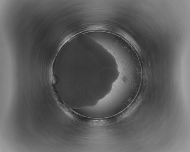 X0000112830858200908281530