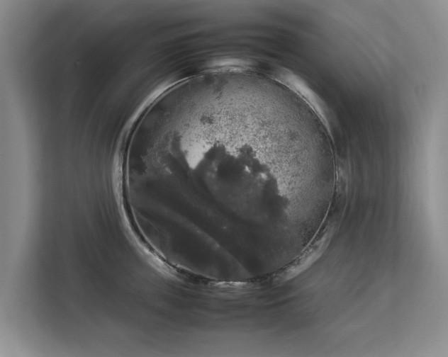 X0000112830859200908281530