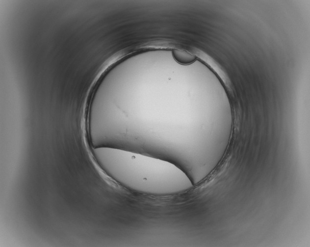 X0000112830861200908281530