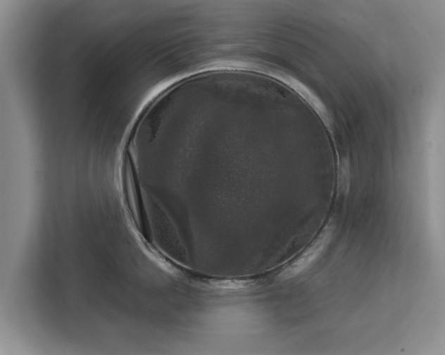 X0000112830862200908281530