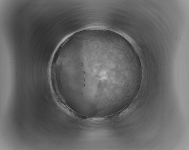 X0000112830864200908281530