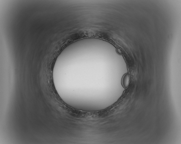 X0000112830865200908281530