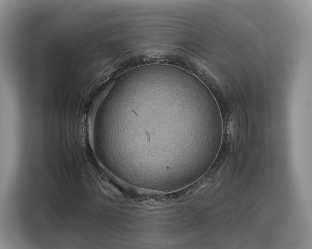 X0000112830868200908281530