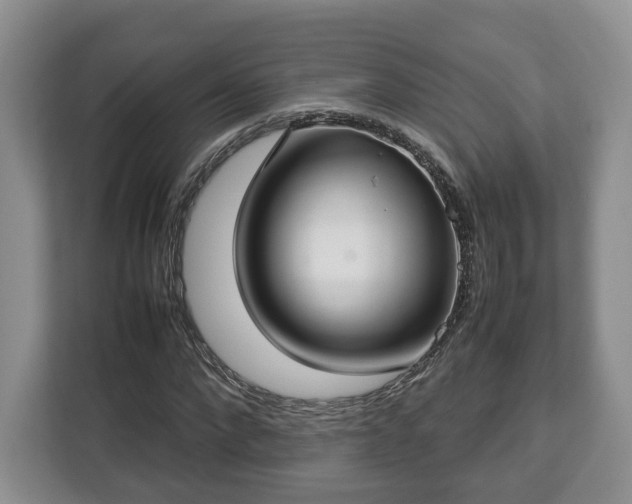 X0000112830872200908281529