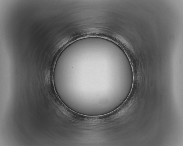 X0000112830873200908281529