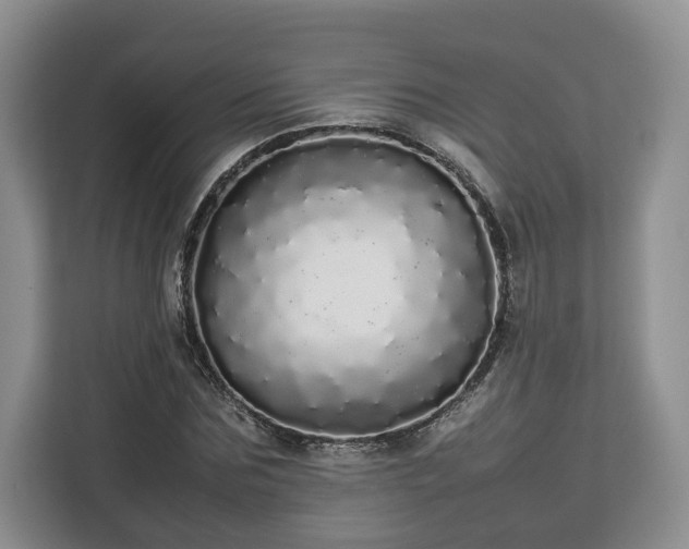 X0000112830875200908281529