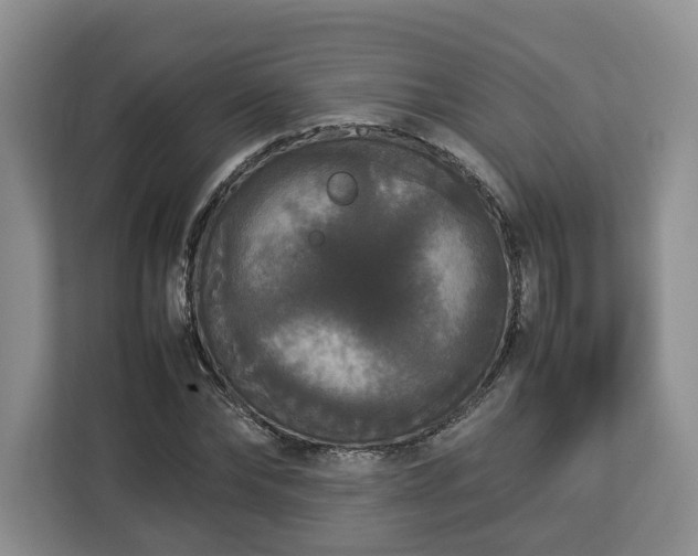 X0000112830878200908281529