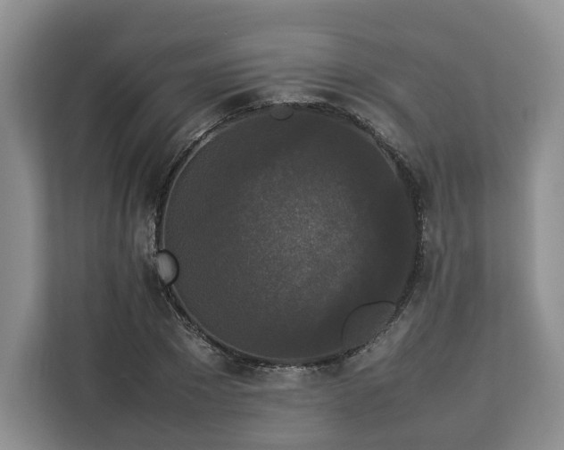 X0000112830881200908281529