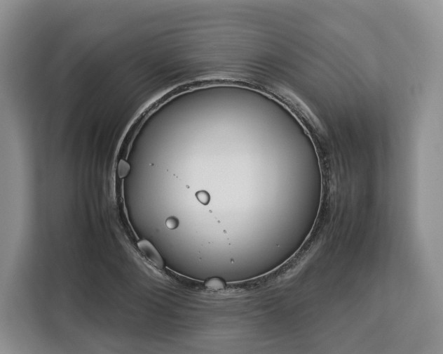 X0000112830884200908281529