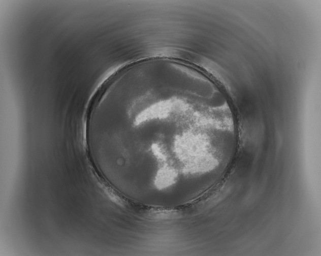 X0000112830886200908281529