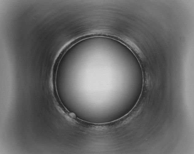 X0000112830888200908281529