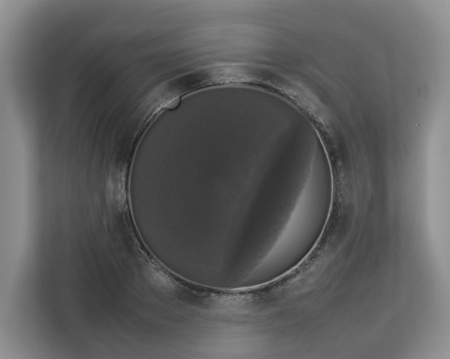 X0000112830889200908281529