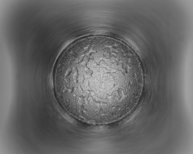 X0000112830891200908281529