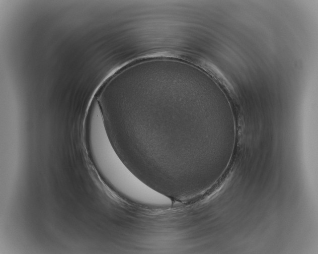 X0000112830892200908281529