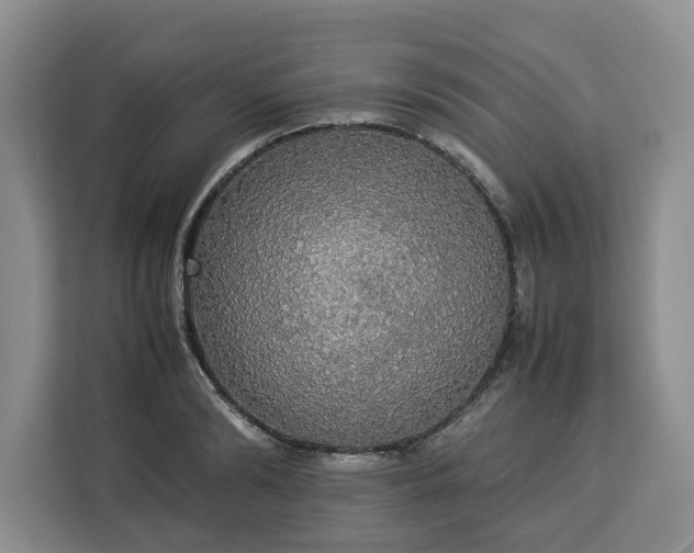 X0000112830894200908281529