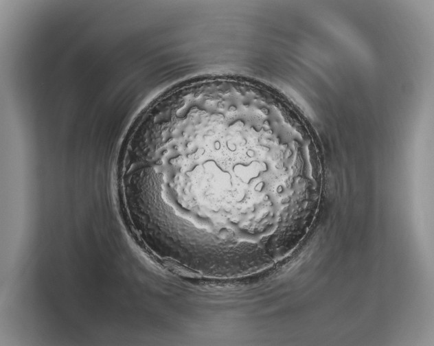 X0000112830895200908281529