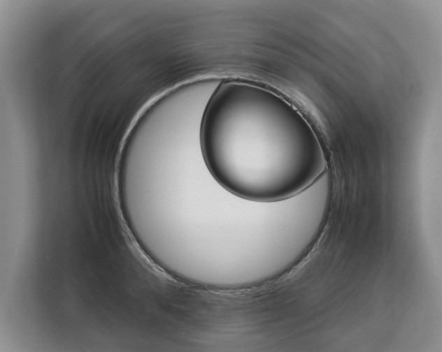 X0000112830896200908281529