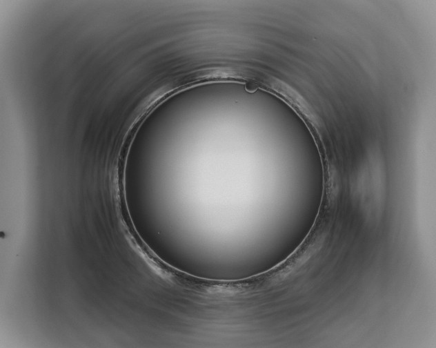 X0000112830898200908281529