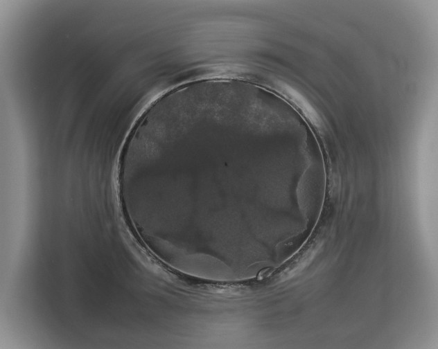 X0000112830899200908281529