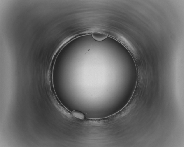 X0000112830900200908281529