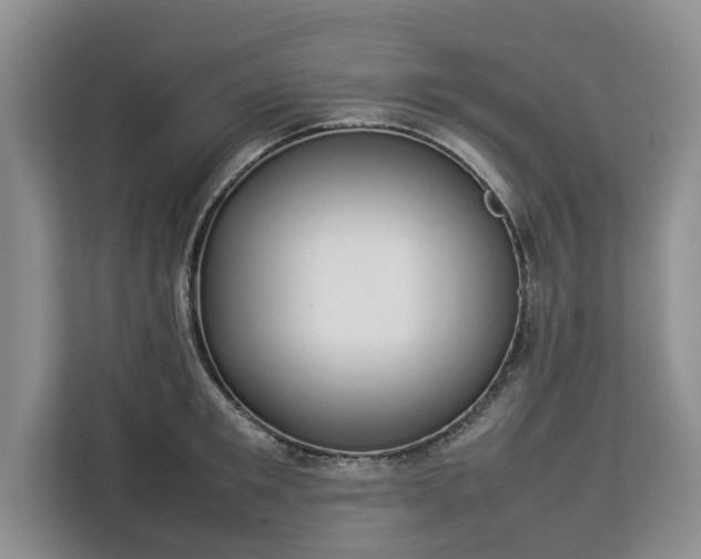 X0000112830901200908281529