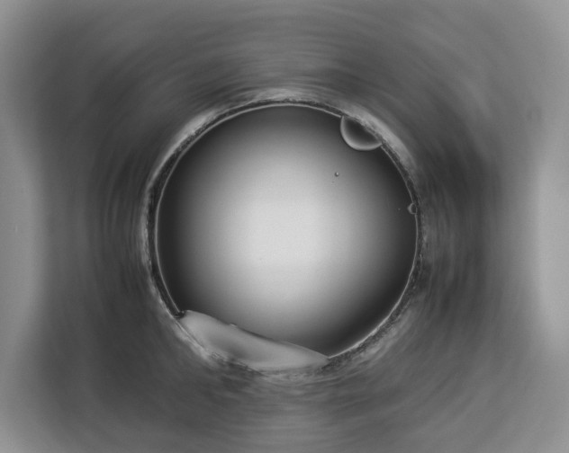 X0000112830902200908281529