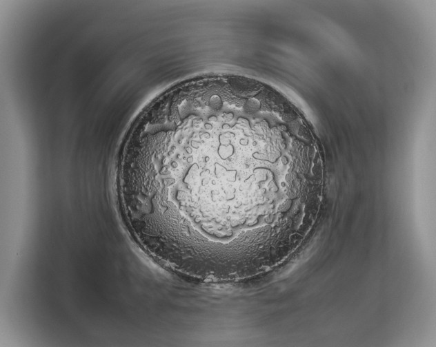 X0000112830903200908281529