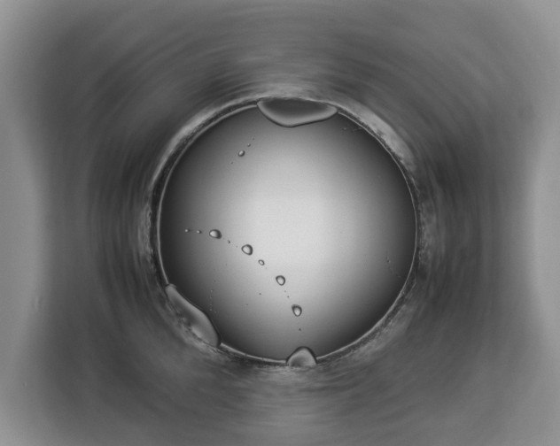 X0000112830904200908281529