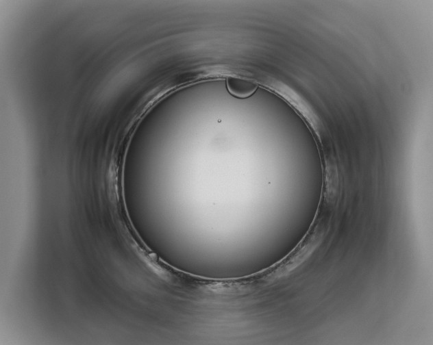 X0000112830906200908281529