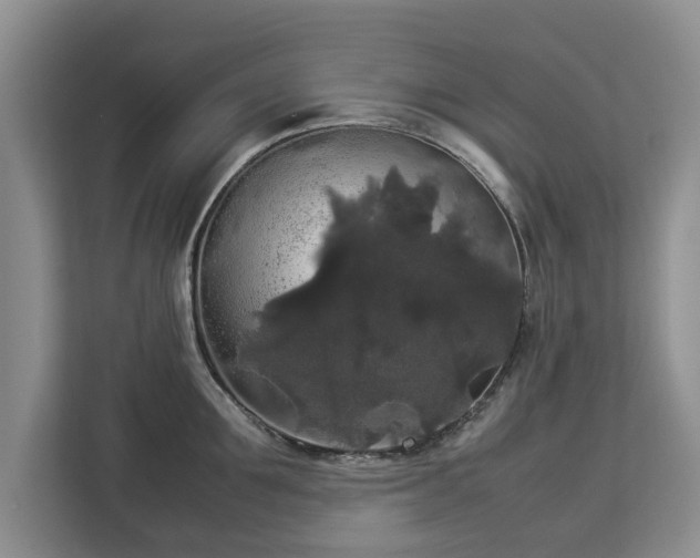 X0000112830907200908281529