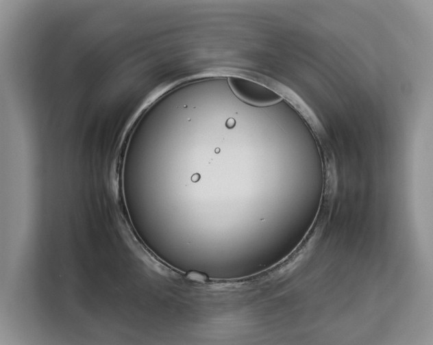 X0000112830908200908281529