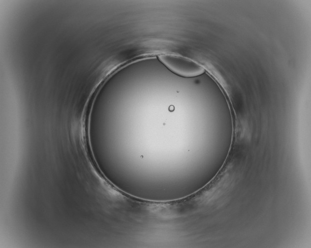 X0000112830909200908281529