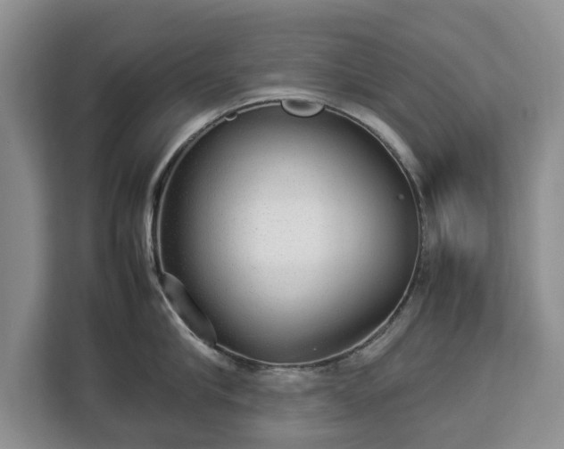 X0000112830910200908281529