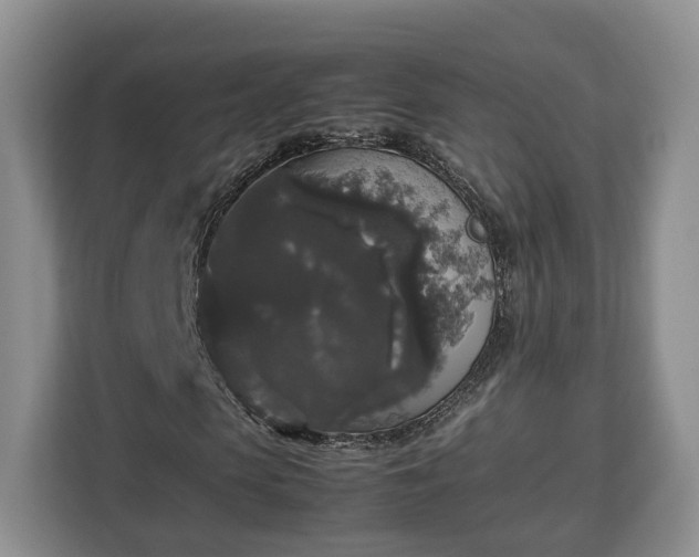 X0000112830913200908281528