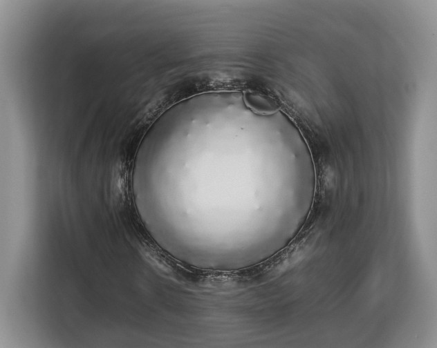 X0000112830914200908281528