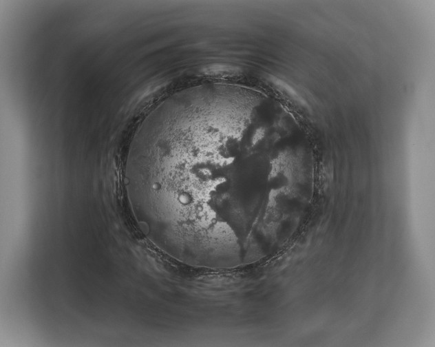 X0000112830917200908281528