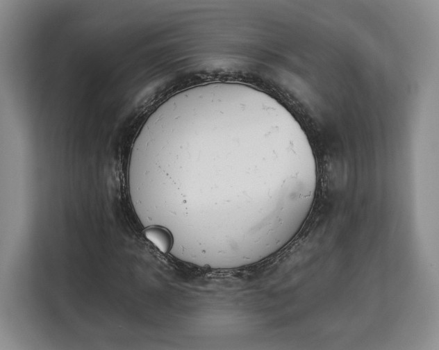 X0000112830918200908281528