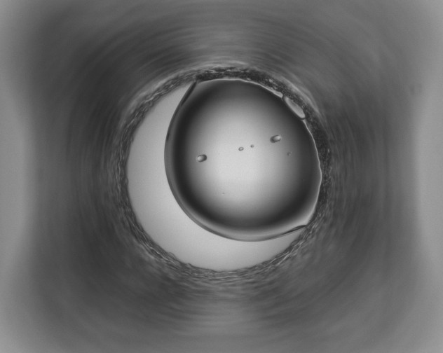 X0000112830920200908281528