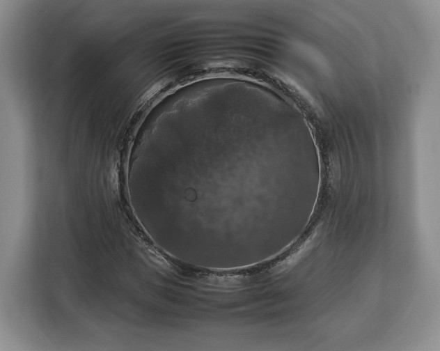 X0000112830921200908281528