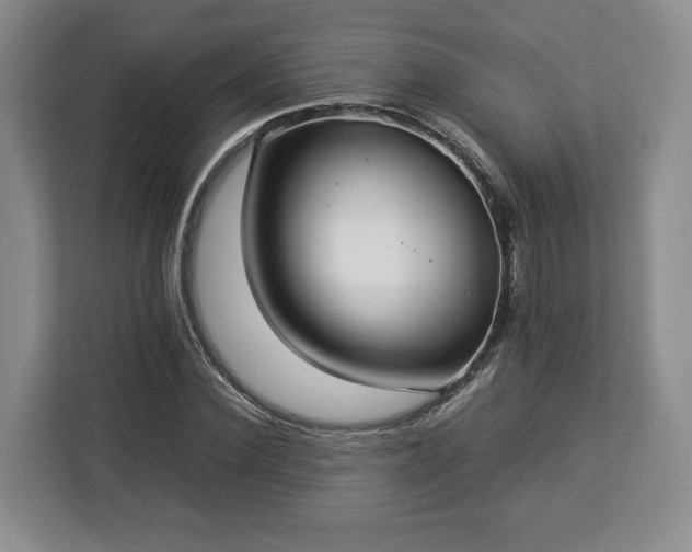 X0000112830924200908281528