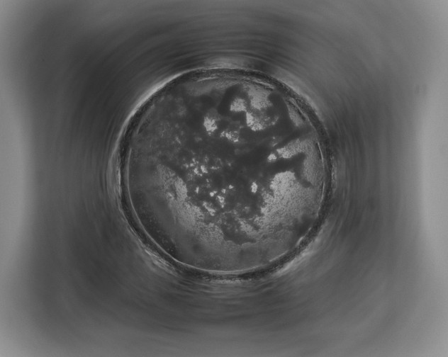 X0000112830925200908281528