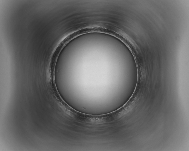 X0000112830927200908281528