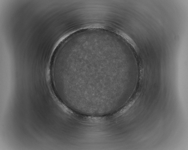 X0000112830928200908281528