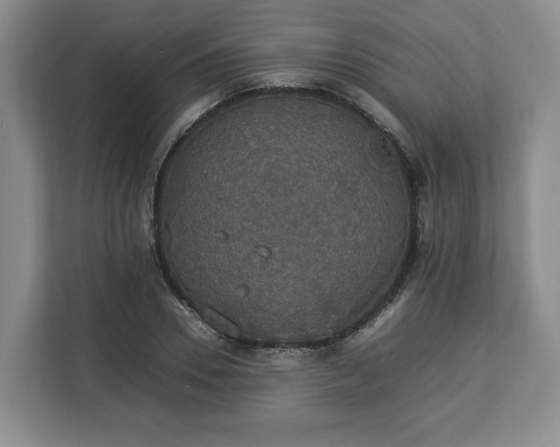 X0000112830930200908281529