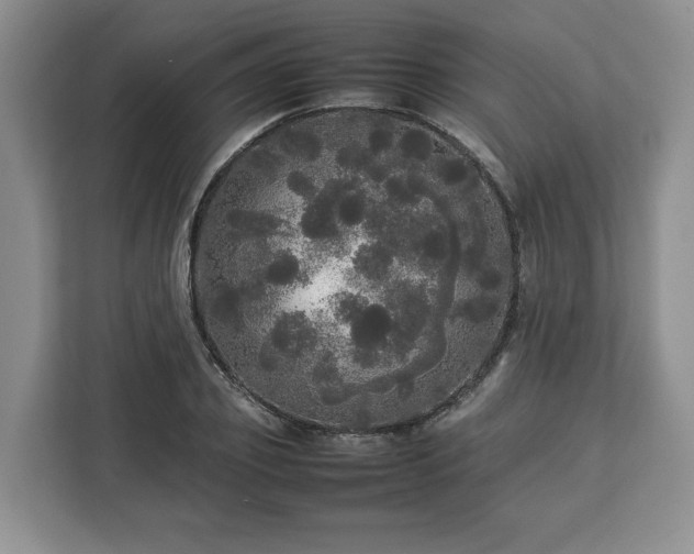 X0000112830933200908281529