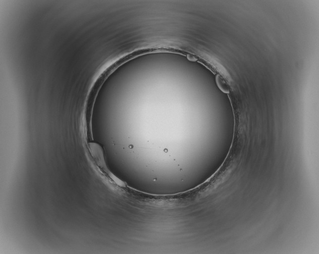 X0000112830936200908281529