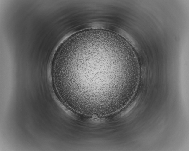 X0000112830939200908281529