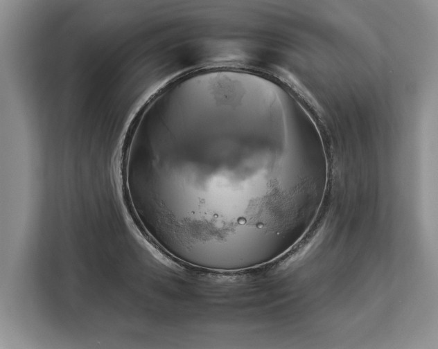 X0000112830941200908281529